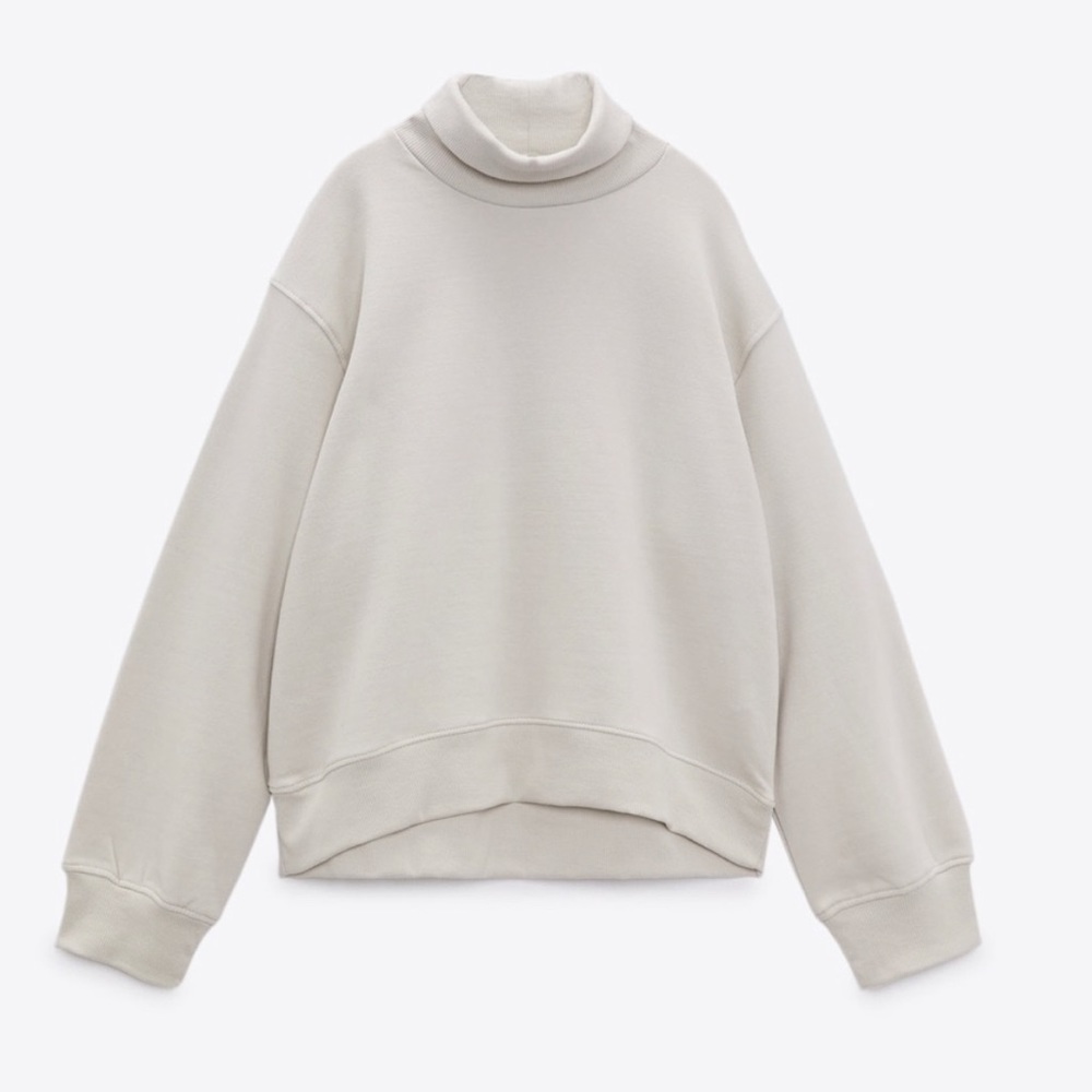 Zara Turtleneck Sweatershirt